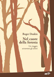Nel cuore della foresta